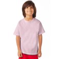 thumbnail image 1 of Hanes T-Shirt à Manches Courtes Col Ras du Cou ComfortWash pour Garçons, TG, Cotton Candy, 1 of 1