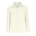 thumbnail image 3 of Timegard Chemises Boutonnées pour Femmes en Coton et Lin, Blouse à Col à Revers, Légère, Automne, Décontractée, Ample, 3 of 5