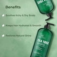 thumbnail image 3 of Botanic Hearth Tea Tree Shampoo, Vitamin C, Peppermint, Lavender and Rosemary Oil, Fights Dandruff and Dry Scalp, 16 fl oz, 3 of 7