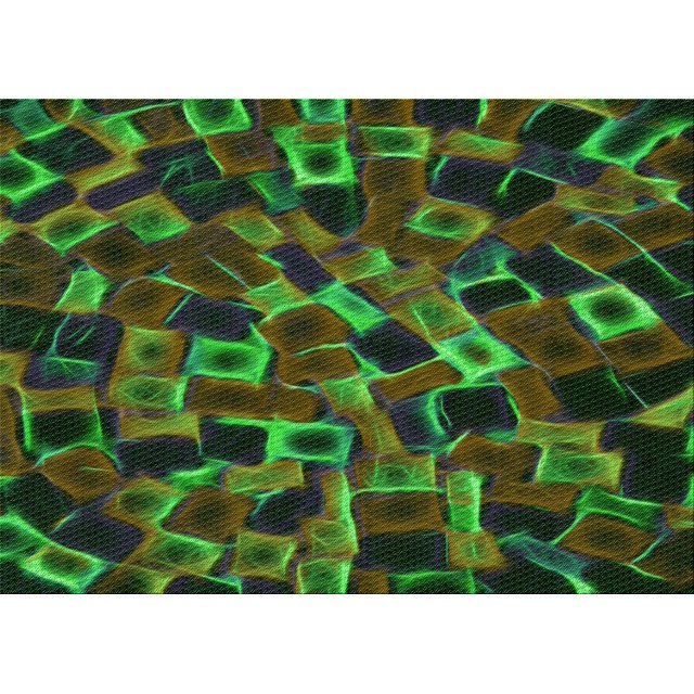 Ahgly Company Machine Washable Indoor Rectangle Transitional Dark Lime Green Area Rugs, 2' x 5'