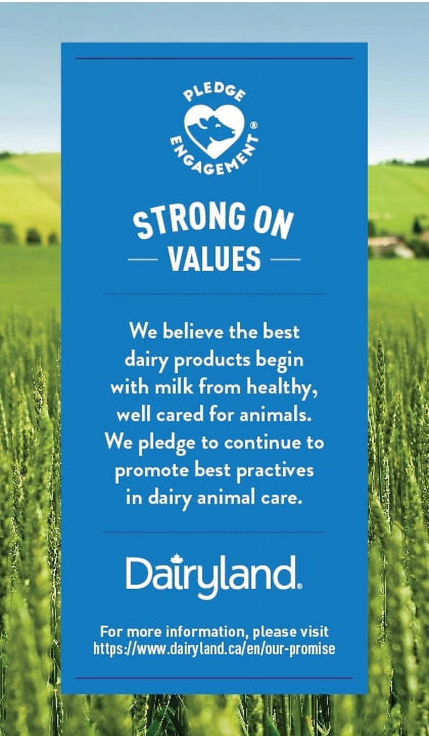 Dairyland Lait Partiellement Écrémé 2 % Sans Lactose