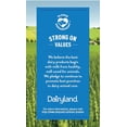 thumbnail image 4 of Dairyland Light Eggnog, 4 of 5