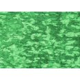 thumbnail image 1 of Ahgly Tapis Rectangulaire Lavable en Machine Intérieur Transitionnel Vert Néon, 5 Pieds x 7 Pieds, 1 of 7
