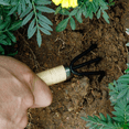 thumbnail image 2 of 9 Mini Garden Tool Hand Planting Tools Small Shovel Rake Spade Wood Handle Planting Tools, 2 of 7