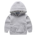 thumbnail image 2 of LSLJS Tout-Petits Enfants Garçons Filles Chandail à Capuchon Décontracté Chandail Mode Mignon Couleur à Manches Longues Survêtements de Sport Décontractés, Chandail à Capuchon pour Tout-Petit ( Gris, 2-3 Ans ), 2 of 4