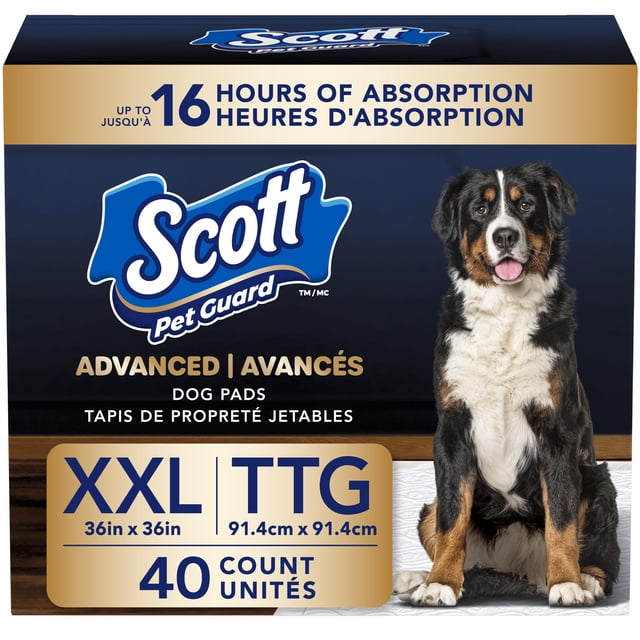 Scott Pet Guard Advanced Dog Pads XXL 36 x 36 inches 40 pack showing a large Bernese Mountain Dog sitting on a white disposable training pad on a wooden floor, featuring up to 16 hours of absorption, leak lock technology, and odour control for dog potty training.