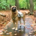 thumbnail image 3 of Wahl 2-in-1 Explorer Dog Backpack and Harness, 3 of 5