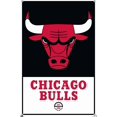 thumbnail image 4 of NBA Chicago Bulls - Logo 21 Wall Poster with Push Pins, 4 of 5