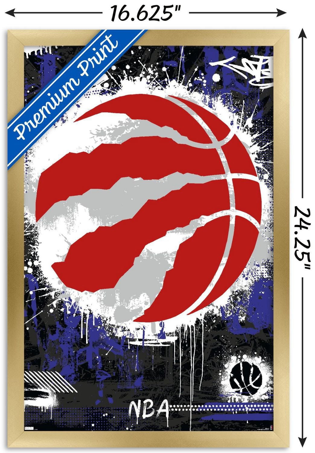 NBA Toronto Raptors