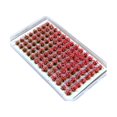 thumbnail image 3 of jifeng Artificial DIY Miniature Flower Cluster Grass Tufts Diorama Layout Scenery Model Pink Red, 3 of 9