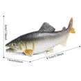 thumbnail image 2 of Kitchen Toy Ocean Animals Fish Tank Decorations Mini Goldfish Toys for Kids Adults Educational, 2 of 3