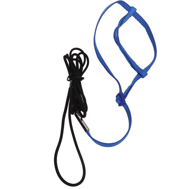 Bird Nylon Leash, Harness Leash Portable Adjustable Biteproof Silky Texture For Parrots For Birds