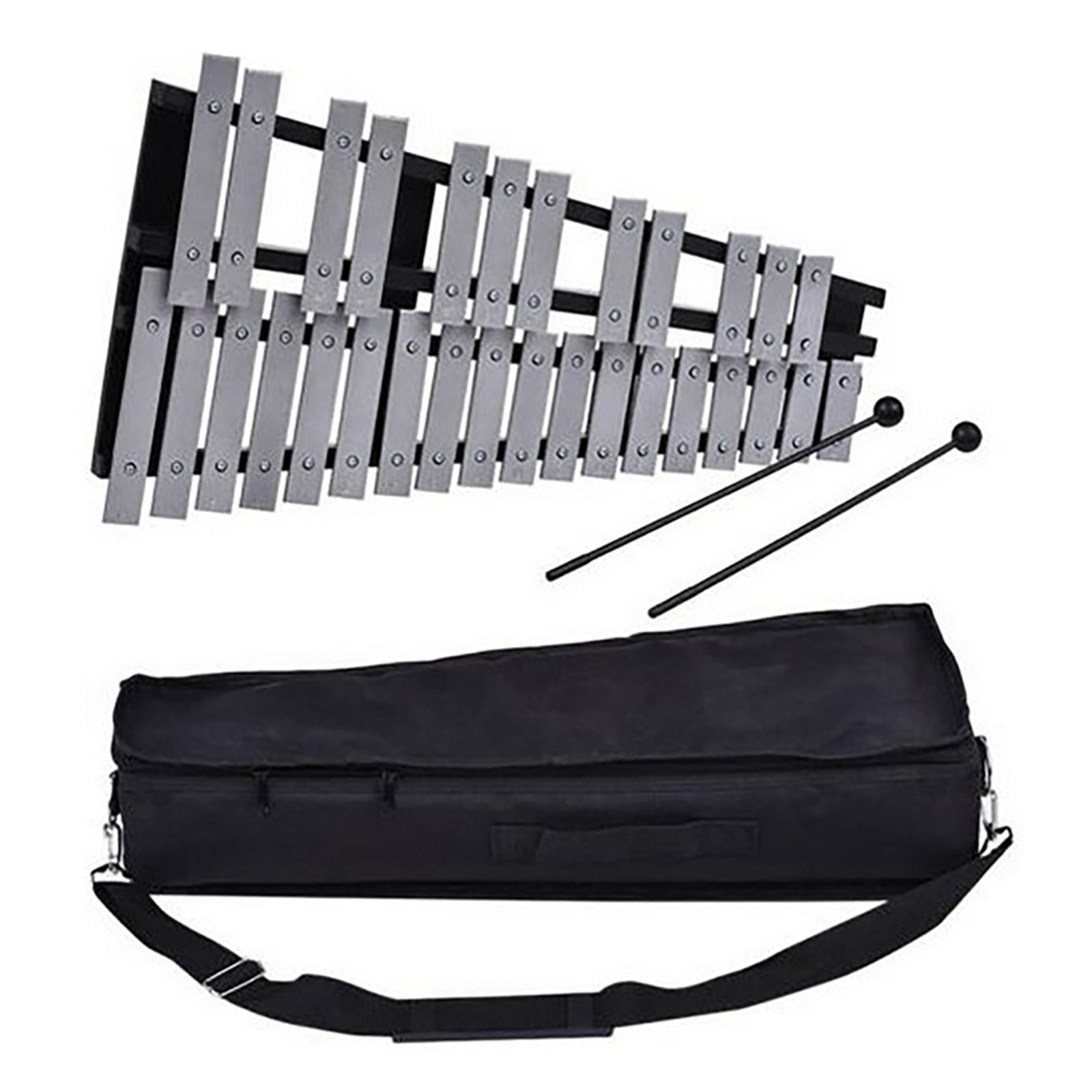 MERIGLARE 32 Notes Glockenspiel Xylophone Bell Percussion Instrument for Kids Beginner