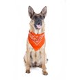 thumbnail image 1 of 2 Pack Paisley Polyester Pets Dogs Bandana Triangle Shape  - Oversized (Orange), 1 of 2