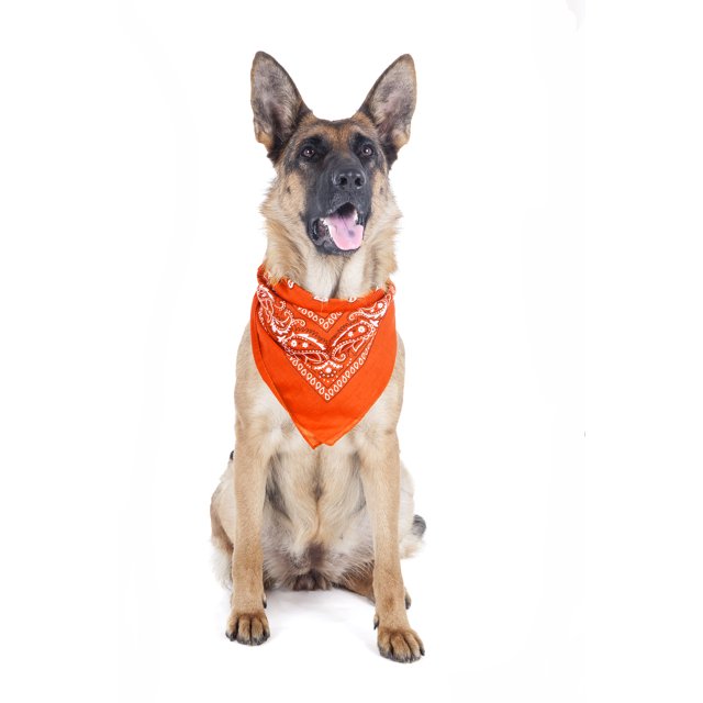 2 Pack Paisley Polyester Pets Dogs Bandana Triangle Shape - Oversized (Orange)