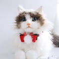 thumbnail image 3 of Collier pour Animaux de Compagnie Réglable à Libération Rapide Motif Exquis Effet Visuel Brillant Résistant aux Morsures Déguisement Collier de Chat de Noël avec Mini Cloche Fournitures pour Animaux de Compagnie, 3 of 10