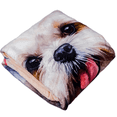 thumbnail image 1 of Pets, Paws and Ideas Waterproof Pet Blanket for Dogs and Cats, Reversible Furniture, Bed & Couch Protector, Spill-Proof, Washable, Soft Flannel Sherpa Cover Tabby Design, 1 of 7