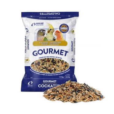 HARI Gourmet Premium Bird Seed Mix for Cockatiels, 1.13kg