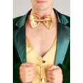 thumbnail image 3 of Men's Gold and Green Leprechaun Costume, 3 of 6