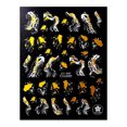 thumbnail image 2 of TopLLC Autocollants pour Ongles Texture Ruban Autocollant d'Art des Ongles Décoration d'Art des Ongles Filigrane Accessoires de Conception d'Art des Ongles Fournitures d'Art des Ongles en Acrylique un Autocollant, 2 of 2