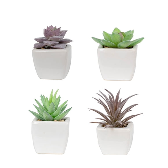 braveheart 4piece Oxygen Supplier In Pot Indoor Air With Artificial Plants Organic Living