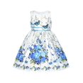 thumbnail image 1 of Robe Fille Bleue Papillon Décontractée Florale Fête 9-10 Ans, 1 of 8
