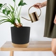 thumbnail image 2 of QCQHDU 2 Pack Plant Pot, Black Plastic Indoor Planter With Drainage Holes And Removable Base, 2 of 6