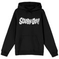 thumbnail image 1 of Scooby-Doo Classic Logo Black Hoodie, 1 of 1