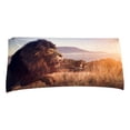 thumbnail image 2 of XZNGL Sand Towel Beach Towel Microfiber Beach Towel Super Lightweight Colorful Bath Towel Sandproof Beach Blanket Multi-Purpose Towel for Travel Swimming Pool 30X60 Inch, 2 of 4