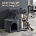 thumbnail image 3 of LEDREM Small Cat Tree Tower with Sisal Scratching Post, Plush Condo with Padded Perch & Cave, for Kittens, Small Spaces,Smoky Grey, 3 of 6