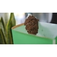 thumbnail image 2 of Miracle-Gro terreau d’empotage pour plantes d'intérieur 17.6L, 2 of 6