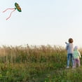 thumbnail image 4 of EIMELI Flying 3D Cartoon Parrot Kite Children Outdoor Kids Toy Fun Activity Game Gift, 4 of 7