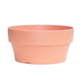 thumbnail image 1 of Imitation Pot For Succulent Planter With Hole Cactus Containers Indoor Garden Bonsai Pots- Product Category Flower Pots 2, 1 of 3