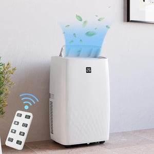 14000 BTU Portable Air Conditioner Unit, Air Conditioner with Cool, Fan and Dry Function, Remote Control, Sleep Mode/24Hrs Timer, Quiet Operation, Cools 700 Sq.ft, 110-115V