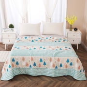 Rbaofujie Weighted Blanket Kids Cool and Comfortable Double Sided Cold Effect Blanket Cool Fiber Soft Blanket Summer Cool Conditioning Quilt Tapestry Aesthetic