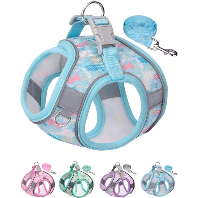 Enkarl Dog Harness for Small Medium Dogs No Pull, Cat Harness and Leash Set, Puppy Harness for Small Dogs, Xs Dog Harness, Step in Dog Harness, Harness and Leash for Small Dogs. (Blue, S)