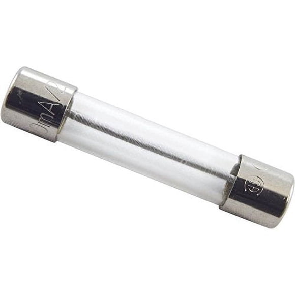 Balboa 21581 0.3-Amp Fuse without Lead