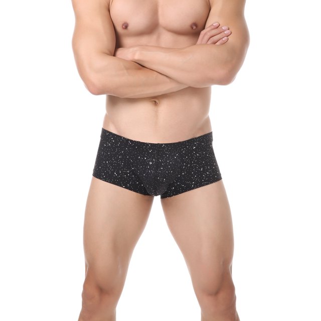 EOYWHK Shiny Boxer Briefs for Men Nylon Stretch Boxers Low Rise Seamless Tight Nightclub Underwear