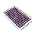 thumbnail image 4 of jifeng Artificial DIY Miniature Flower Cluster Grass Tufts Diorama Layout Scenery Model Amaranth, 4 of 9