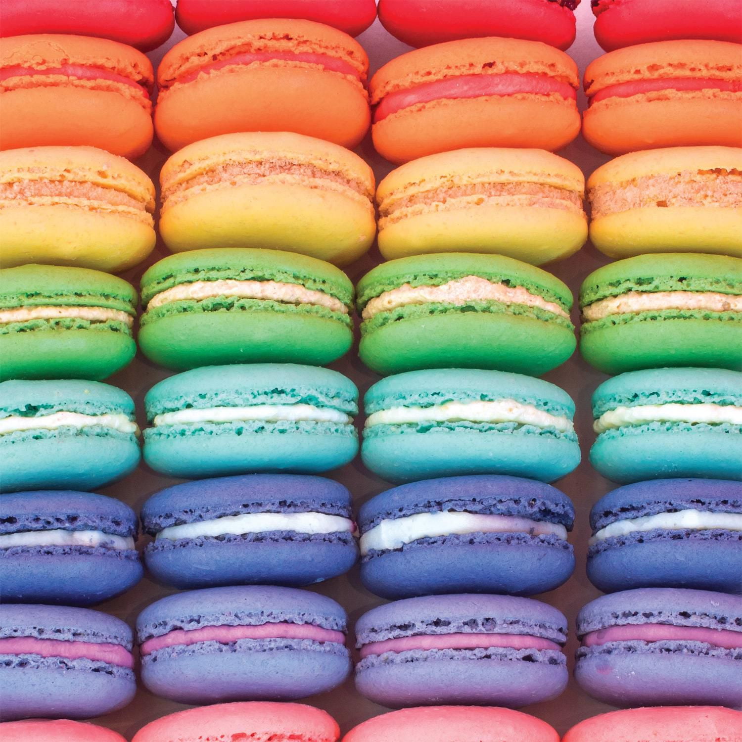 Buffalo Games - Le puzzle Large Pieces - Macaron Spectrum - en 300 pièces