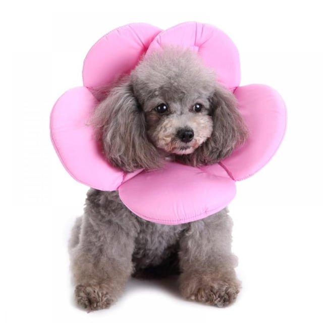Recovery Pet Cone E-Collar for Cats Dogs Flower Soft Dacron Sponge Protective Collar