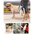 thumbnail image 2 of fastboy Dog Lifting Support Harness Auxiliary Belt Dog Sling for Back Legs Portable S, 2 of 9