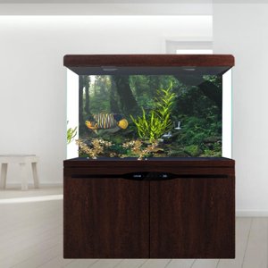 Domqga Fish Tank Poster, Fish Tank Background Poster, Adhesive For Aquarium Fish Tank