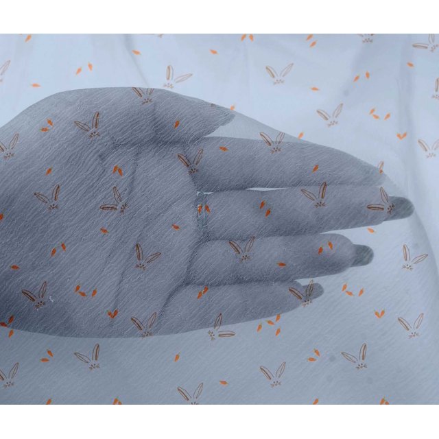 oneOone Viscose Chiffon Fabric Carrot & Rabbit Face Animal Decor Fabric Printed BTY 42 Inch Wide