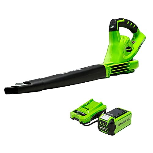 Greenworks Souffleur de Feuilles Sans Fil 40 V (150 Mi/h), Batterie 2,0 Ah et Chargeur Inclus 24252