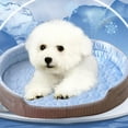 thumbnail image 1 of EGNMCR Blankets & Throws Summer Slight Chill Dog And Kittens Mattress Quick Slight Chill Soft Dog And Kittens Mattress Removable Non-Slip Pet Mattress For Dogs And Kittens Sleeping Dogs cushion, 1 of 7