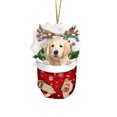 thumbnail image 2 of RKSTN Fall Decorations for Home Funny Christmas Tree Decorations, Suitable For Dogs - Gifts For Dog Lovers - Christmas Decorations - Lovely Stockings Dog Christmas Tree Decorations, 2 of 2