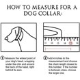 thumbnail image 5 of GHSDFBB 18K Gold Dog Collar, Choke Cuban Dog Chain, Stainless Steel Slide Traning Chain., 5 of 5