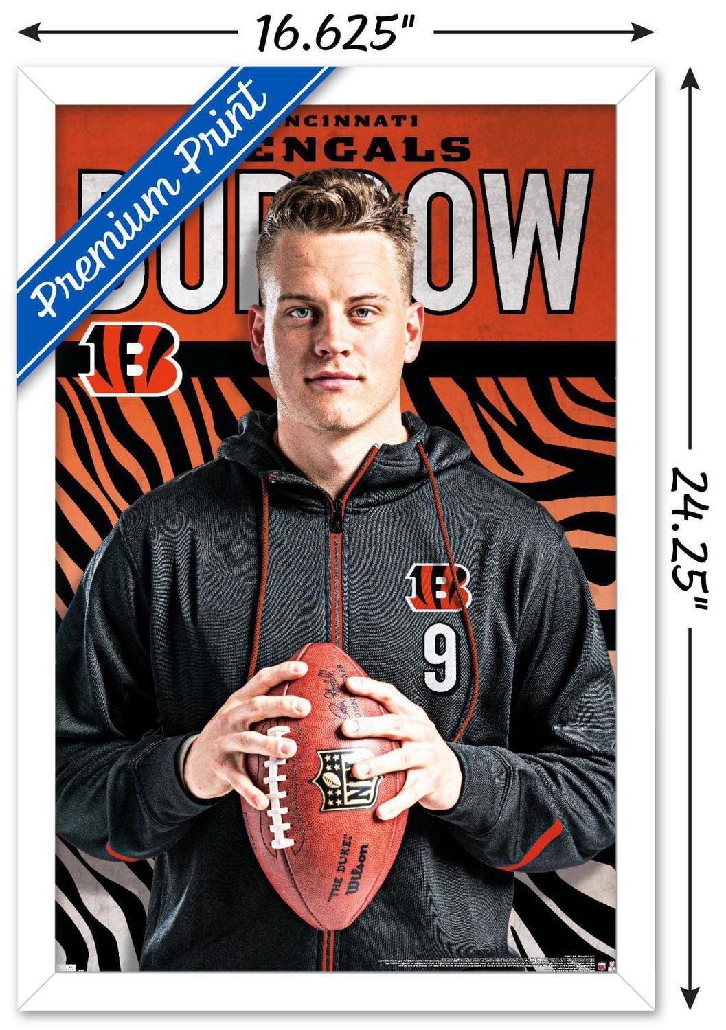 NFL Bengals de Cincinnati