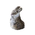 thumbnail image 2 of Hxlamzoo Jouets pour Enfants Pâques Modèle de Simulation Simulation Modèle de Vrai Lapin Jouets Liquidation, 2 of 8